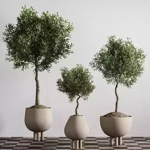 indoor plant stant 46 3D model