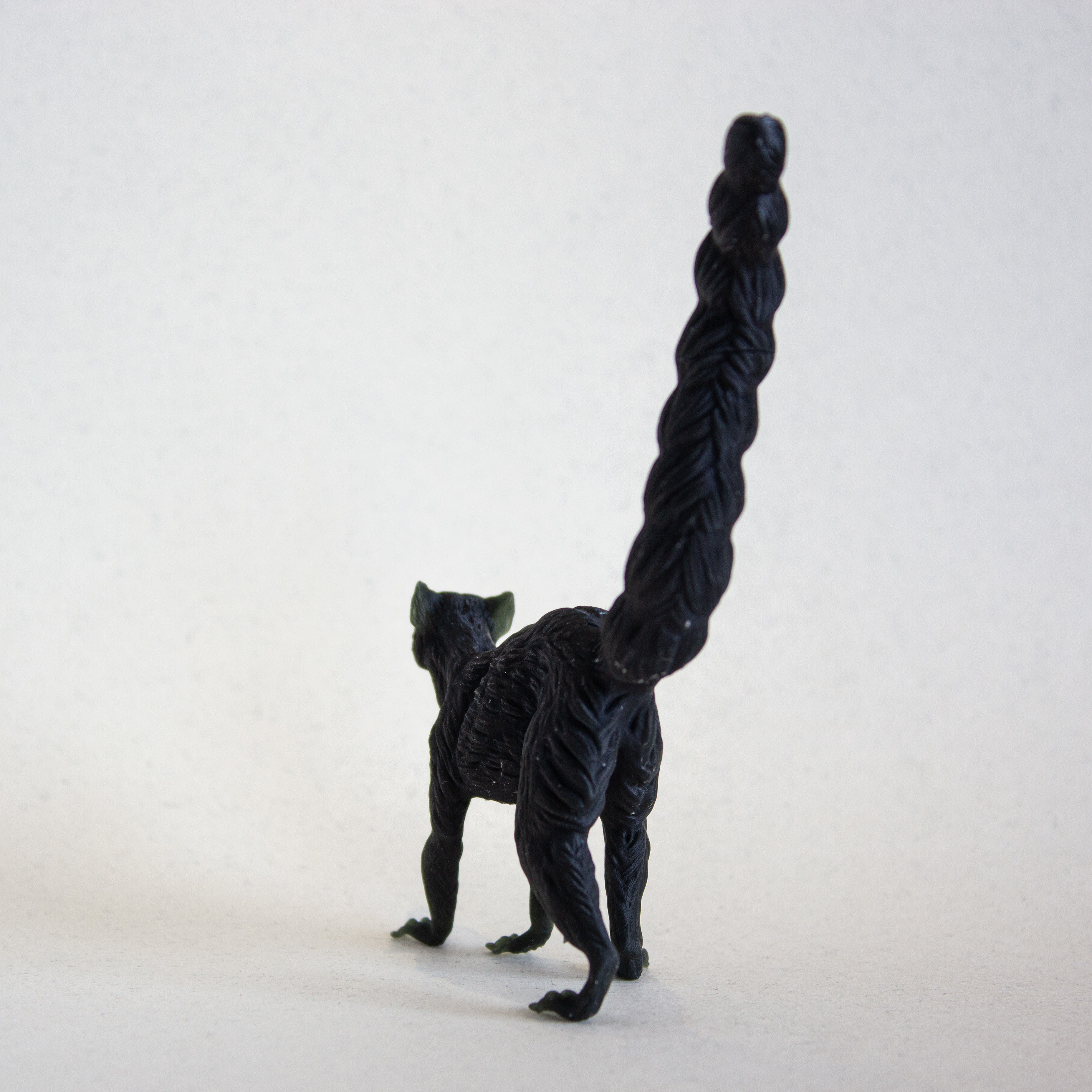 Ring-Tailed Lemur for 3D Printing 3D print model_4