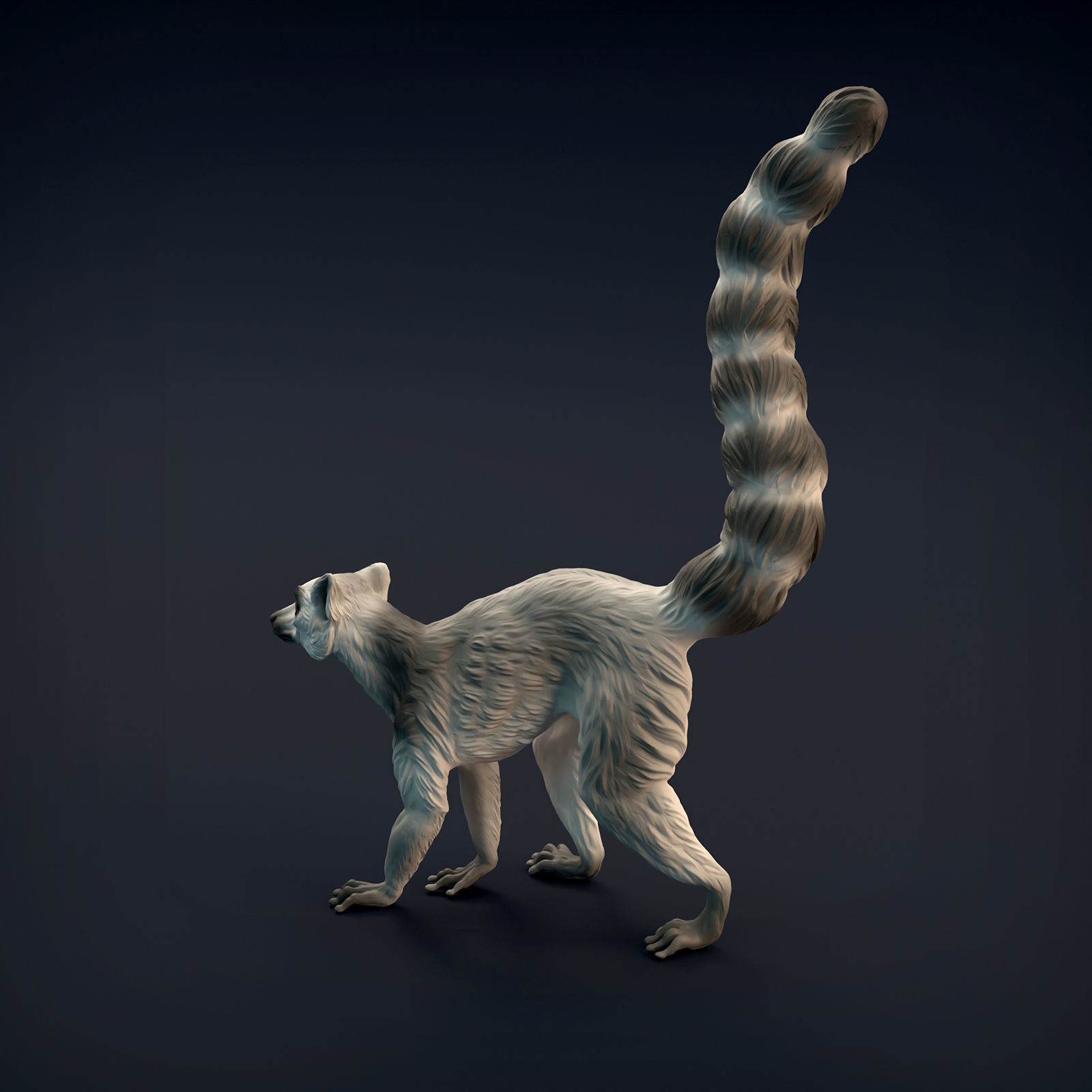 Ring-Tailed Lemur for 3D Printing 3D print model_9