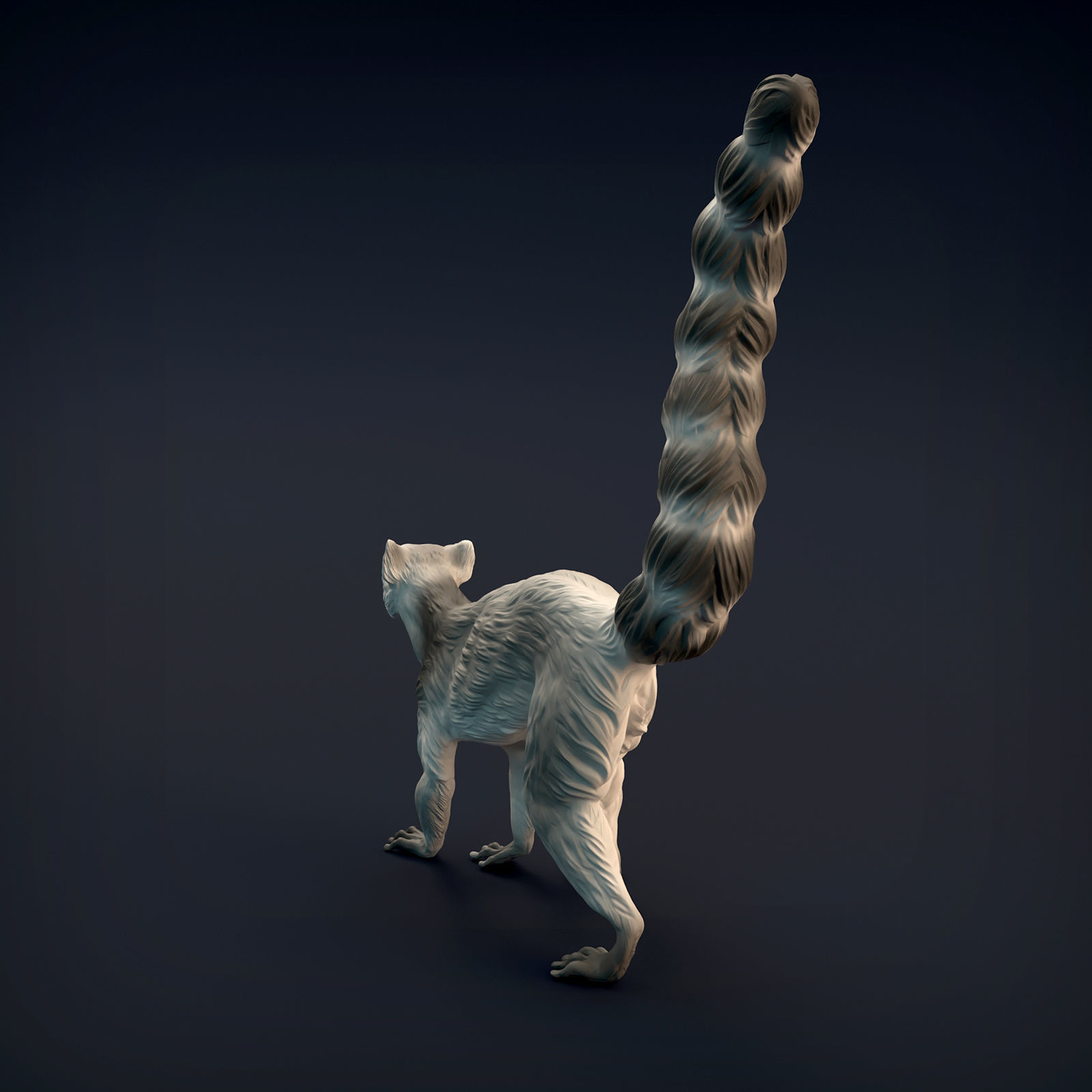 Ring-Tailed Lemur for 3D Printing 3D print model_8