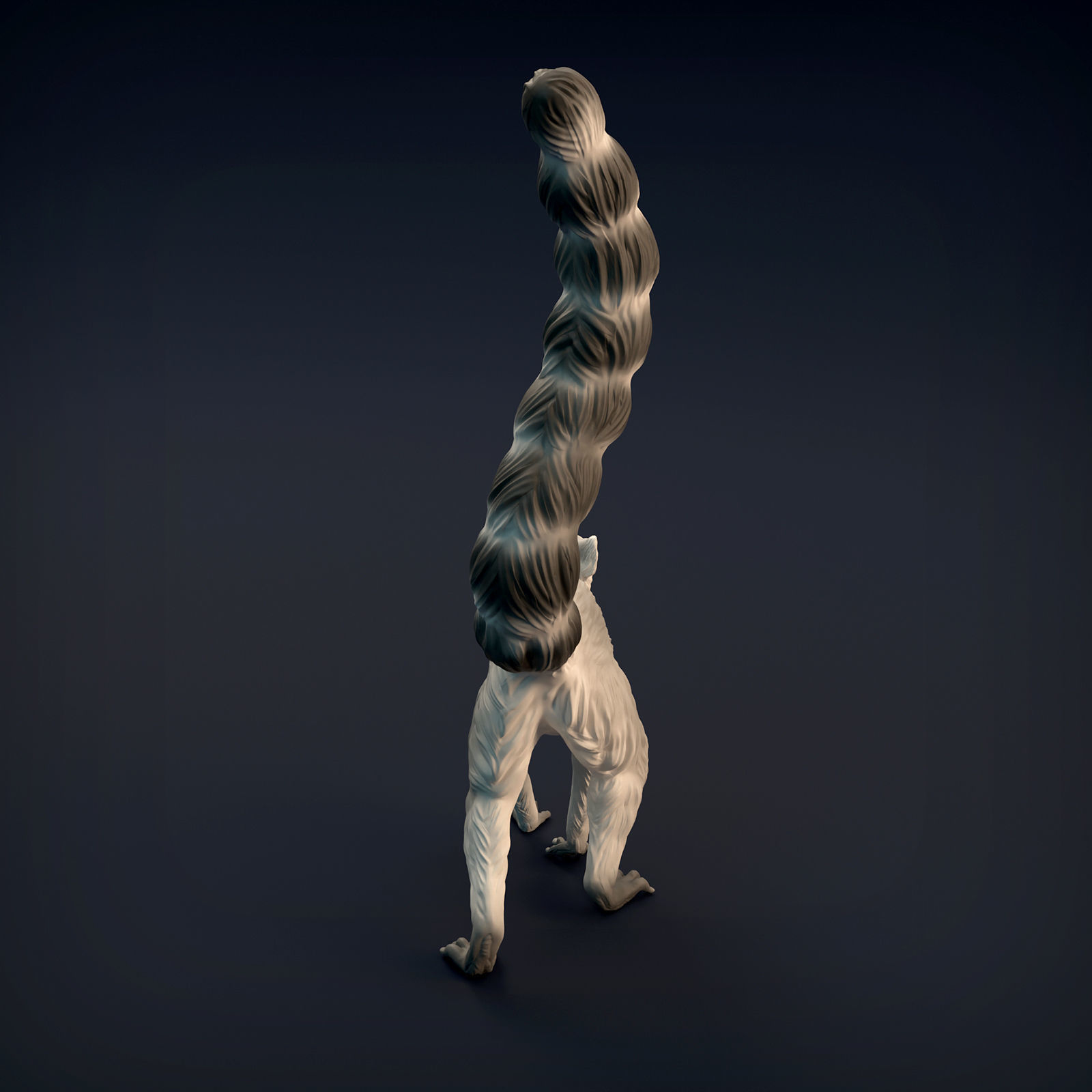 Ring-Tailed Lemur for 3D Printing 3D print model_7