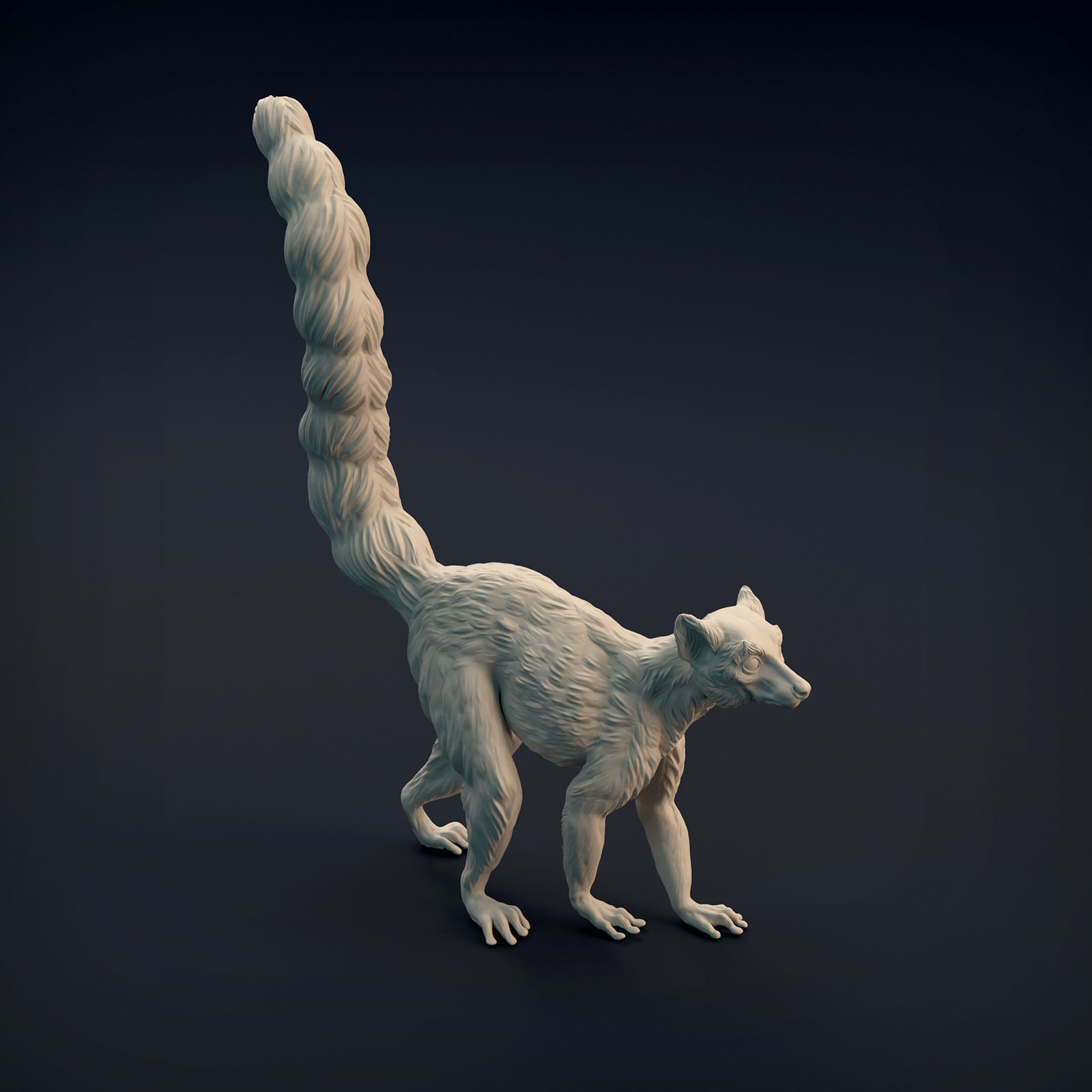 Ring-Tailed Lemur for 3D Printing 3D print model_12