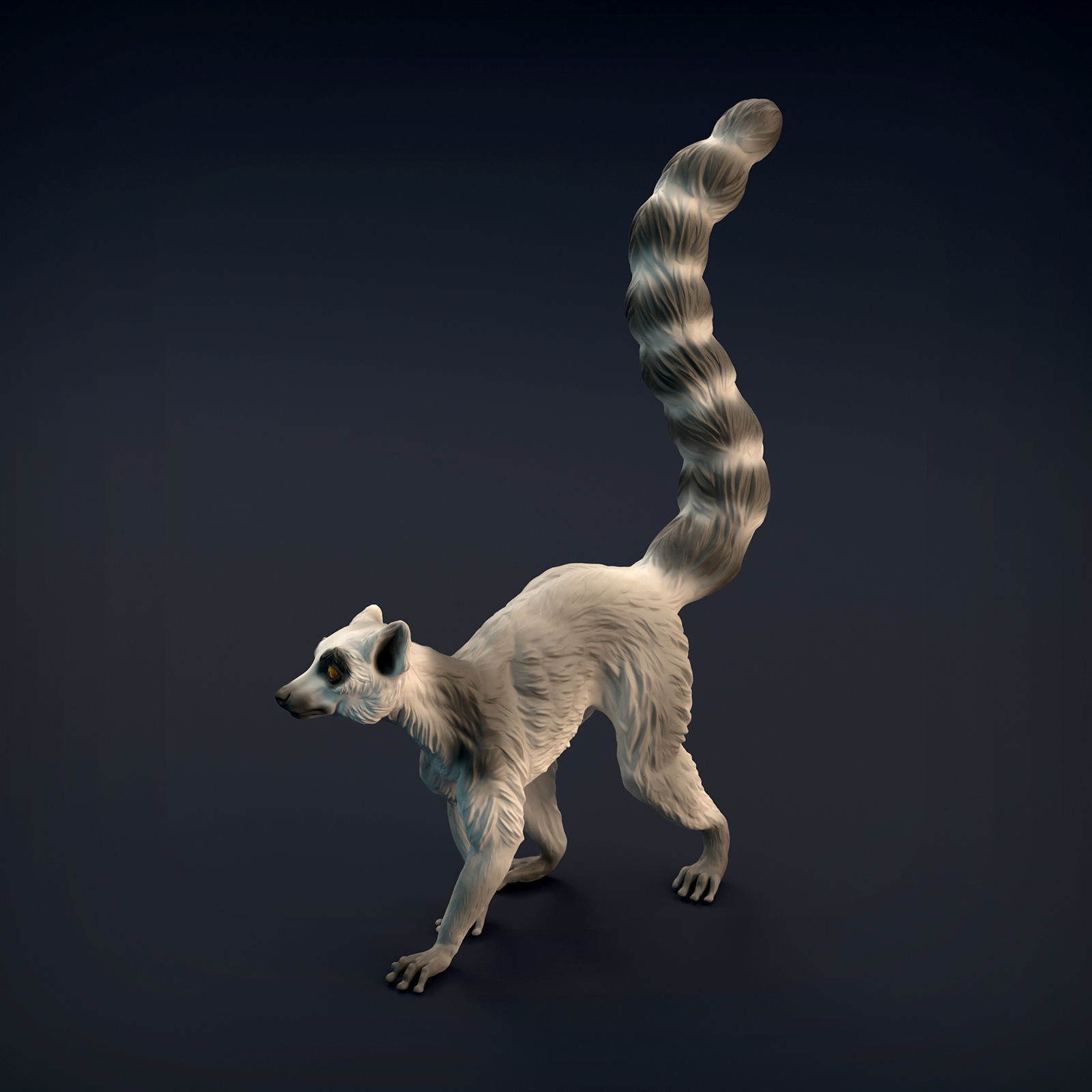 Ring-Tailed Lemur for 3D Printing 3D print model_10