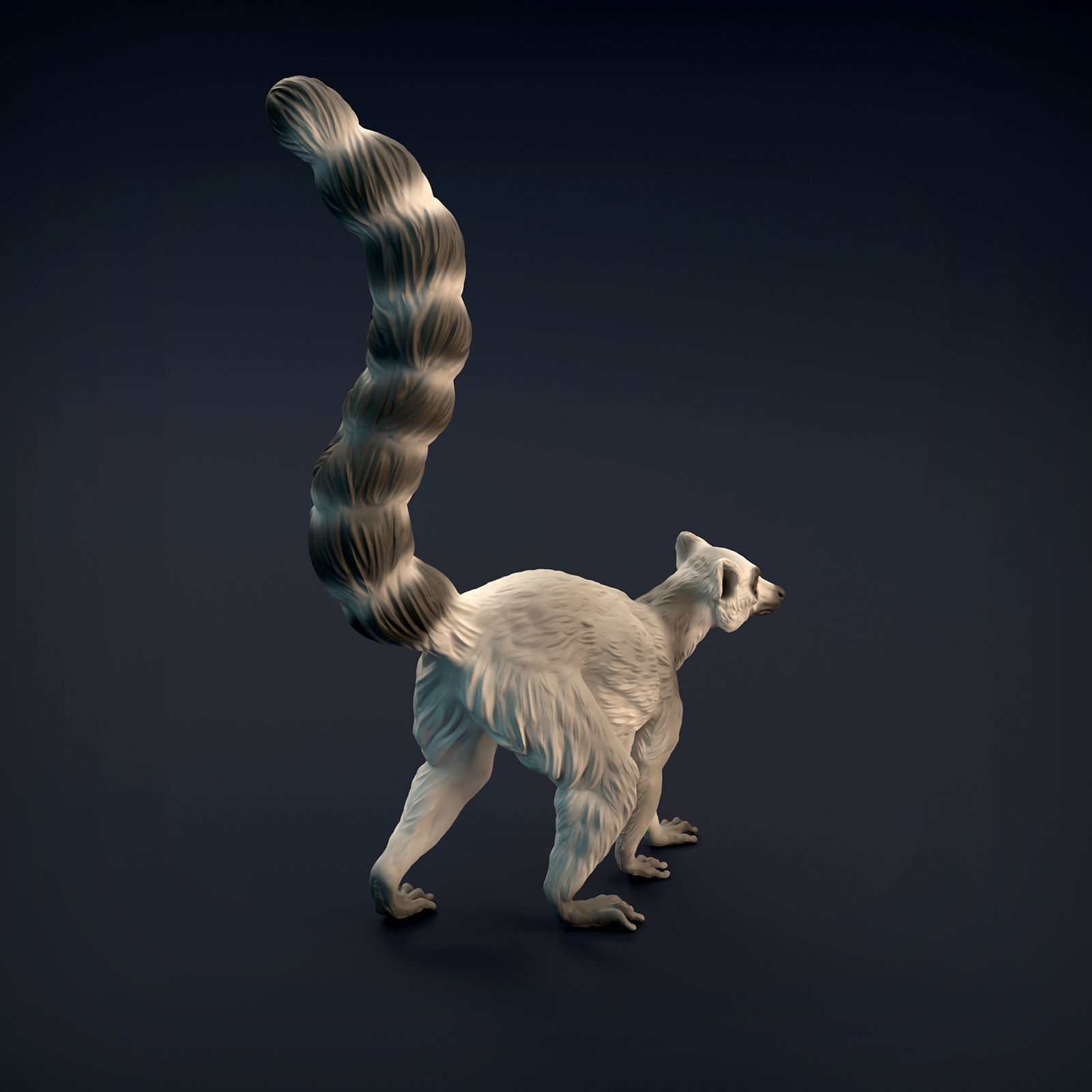 Ring-Tailed Lemur for 3D Printing 3D print model_6