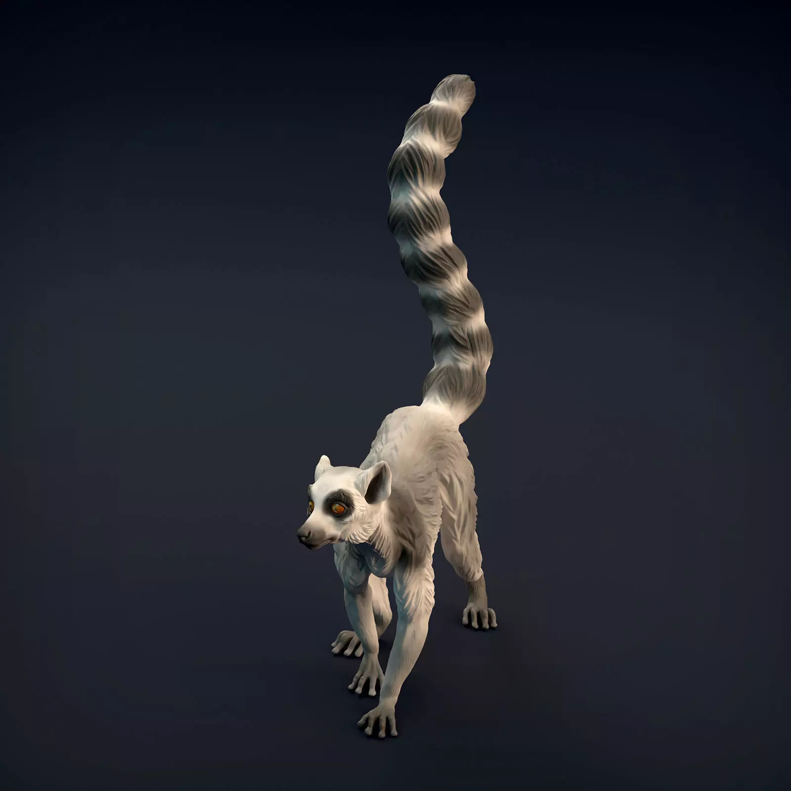 Ring-Tailed Lemur for 3D Printing 3D print model_0