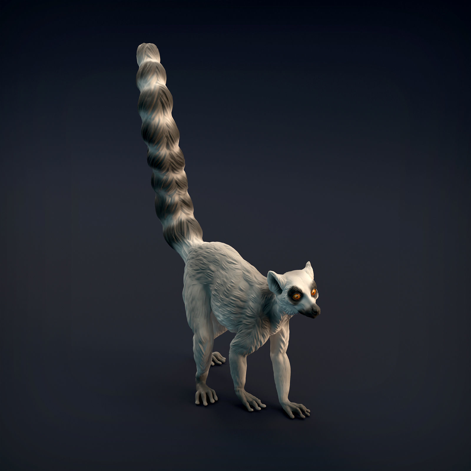 Ring-Tailed Lemur for 3D Printing 3D print model_11