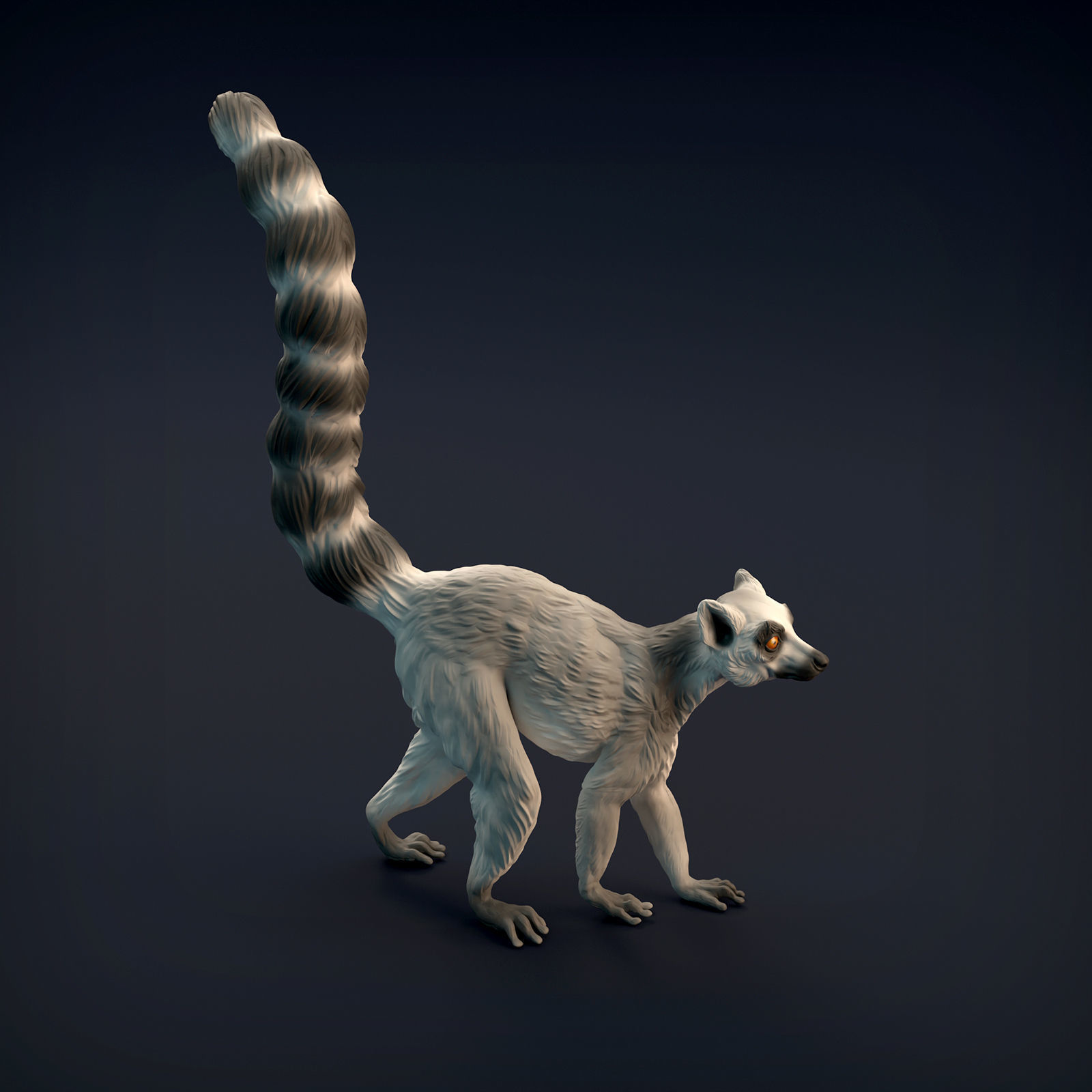 Ring-Tailed Lemur for 3D Printing 3D print model_5