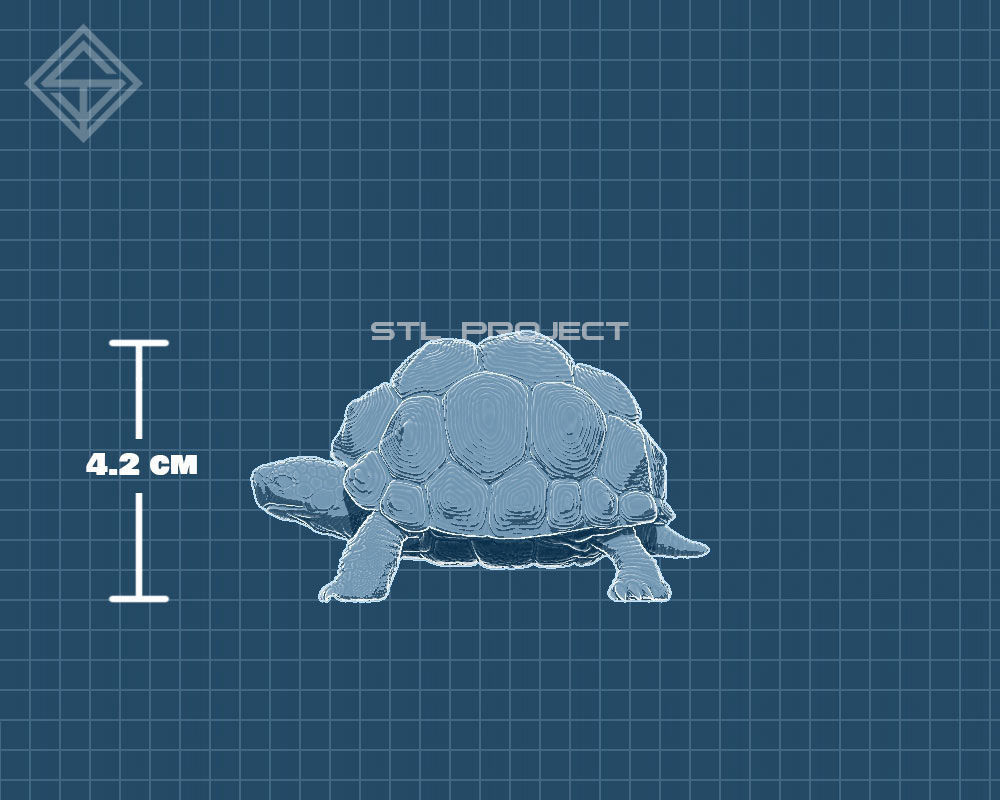 Tortoises armadillo 3D Model Collection_24
