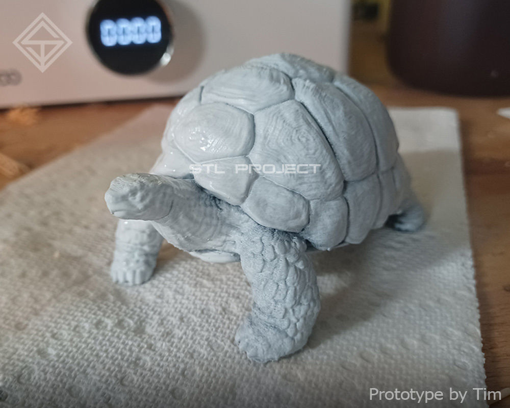 Tortoises armadillo 3D Model Collection_18