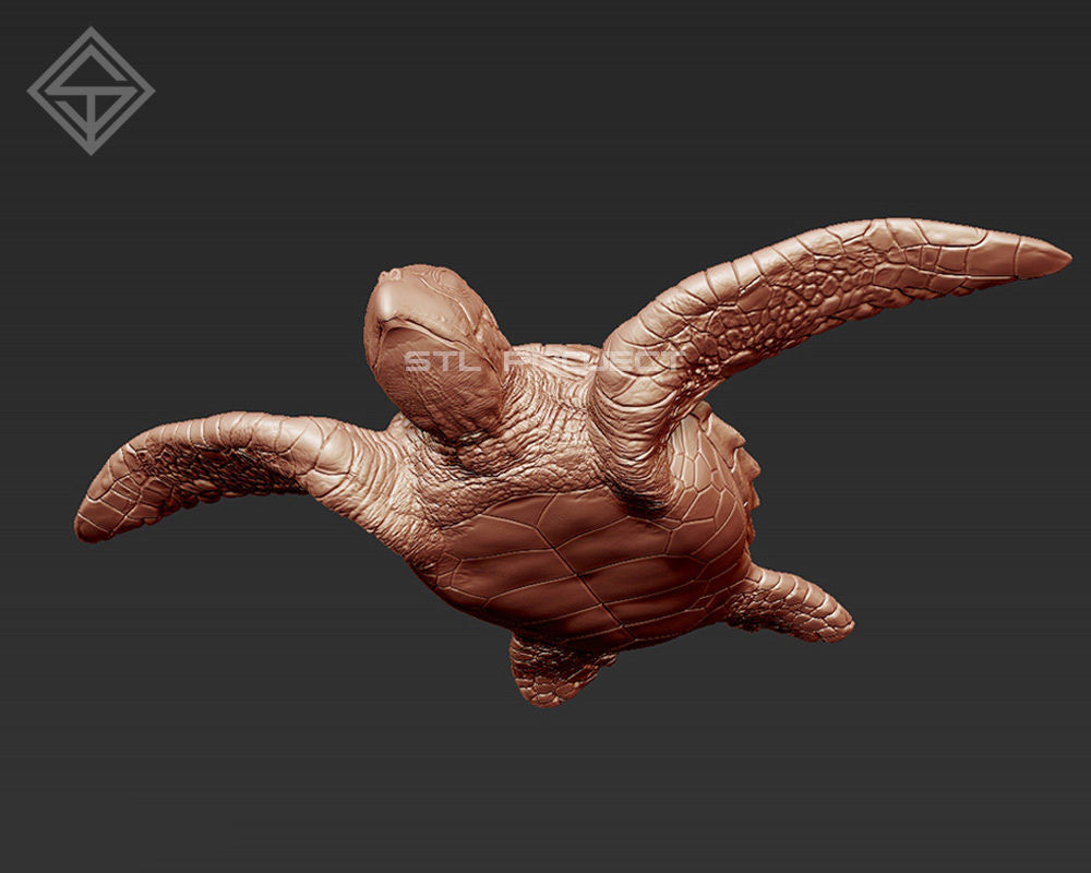 Tortoises armadillo 3D Model Collection_4