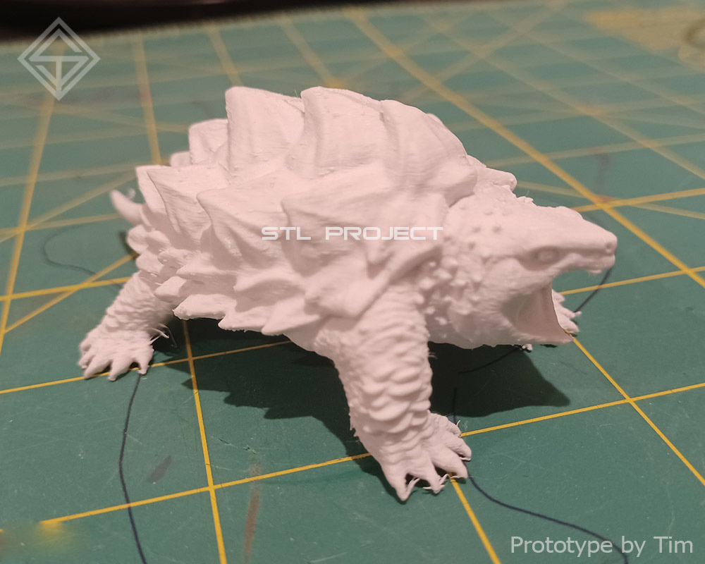 Tortoises armadillo 3D Model Collection_19