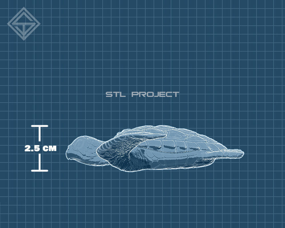Tortoises armadillo 3D Model Collection_21