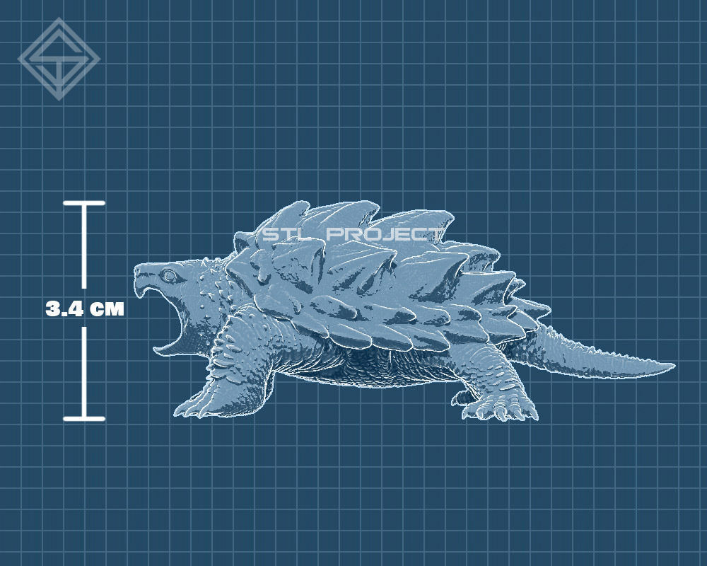 Tortoises armadillo 3D Model Collection_23