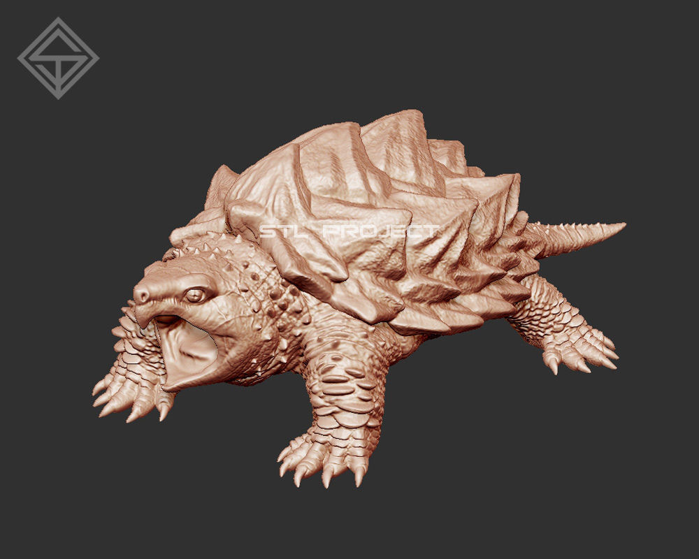 Tortoises armadillo 3D Model Collection_9