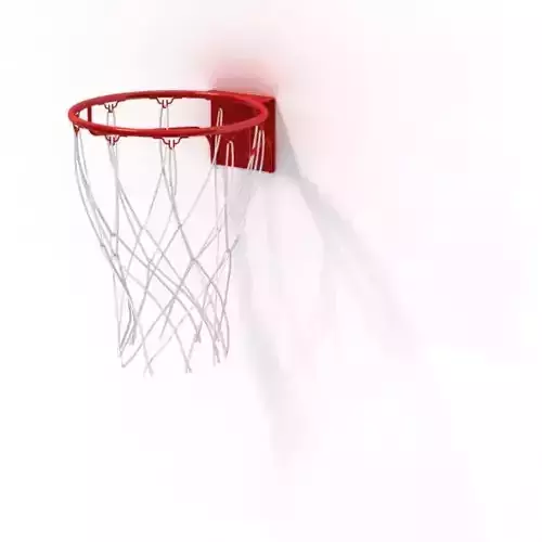 Basketball Hoop Net