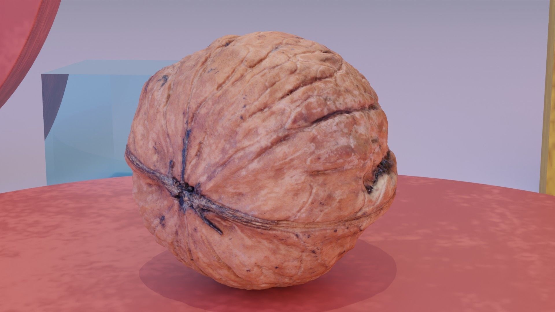 Walnut fruit 07 high-poly 3D model_2
