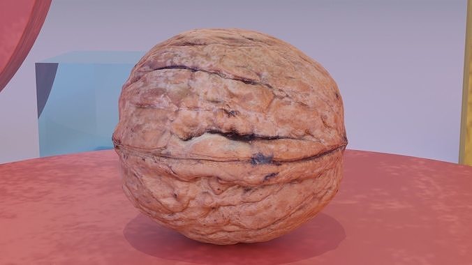 Walnut fruit 07 high-poly 3D model