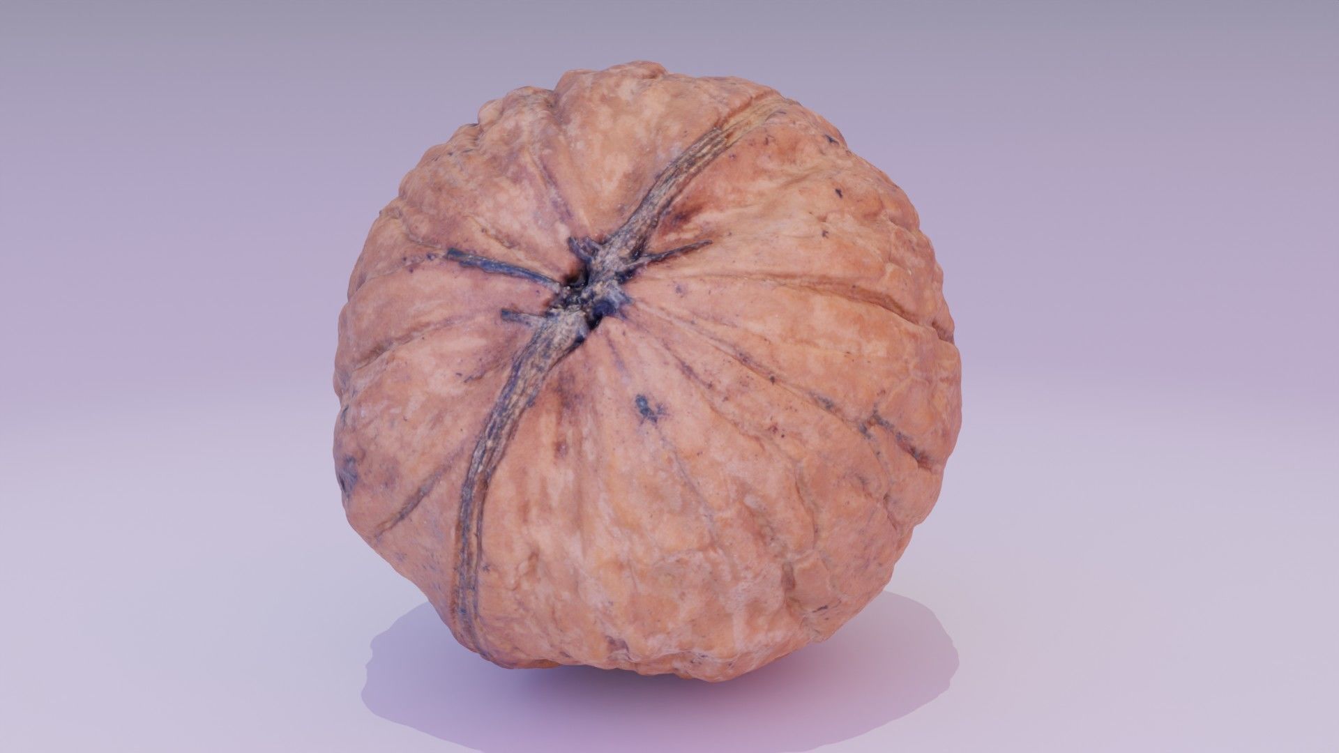 Walnut fruit 07 high-poly 3D model_18