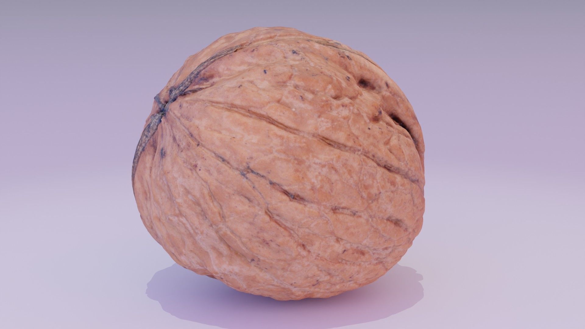 Walnut fruit 07 high-poly 3D model_19
