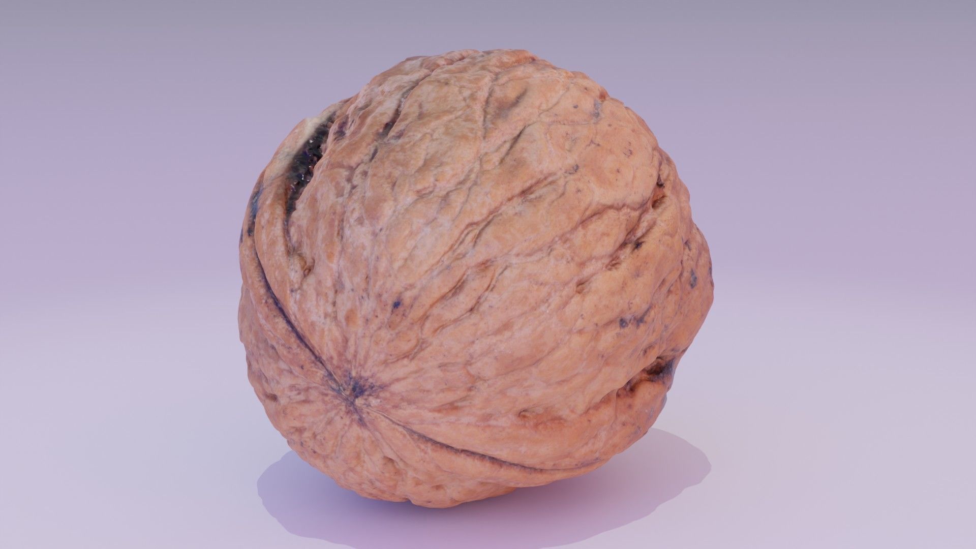 Walnut fruit 07 high-poly 3D model_15