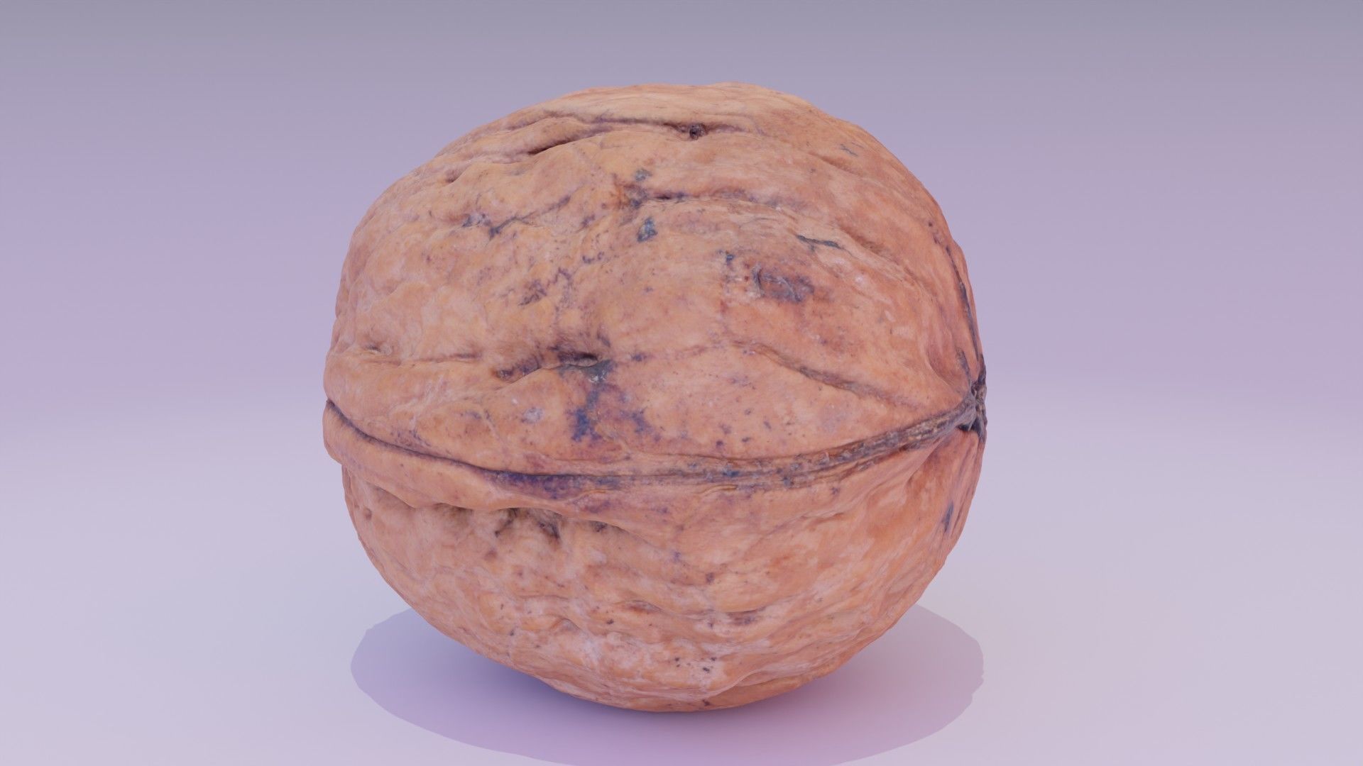 Walnut fruit 07 high-poly 3D model_10