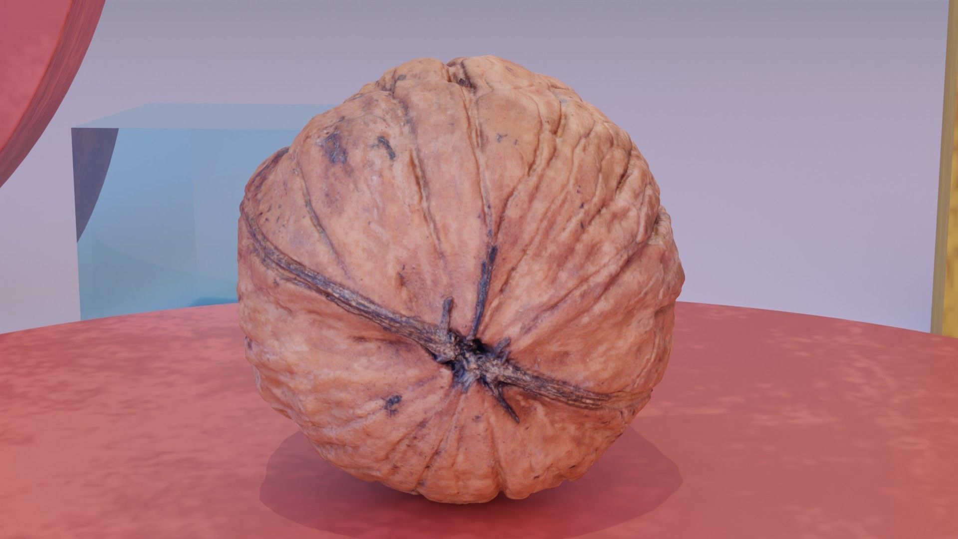 Walnut fruit 07 high-poly 3D model_3