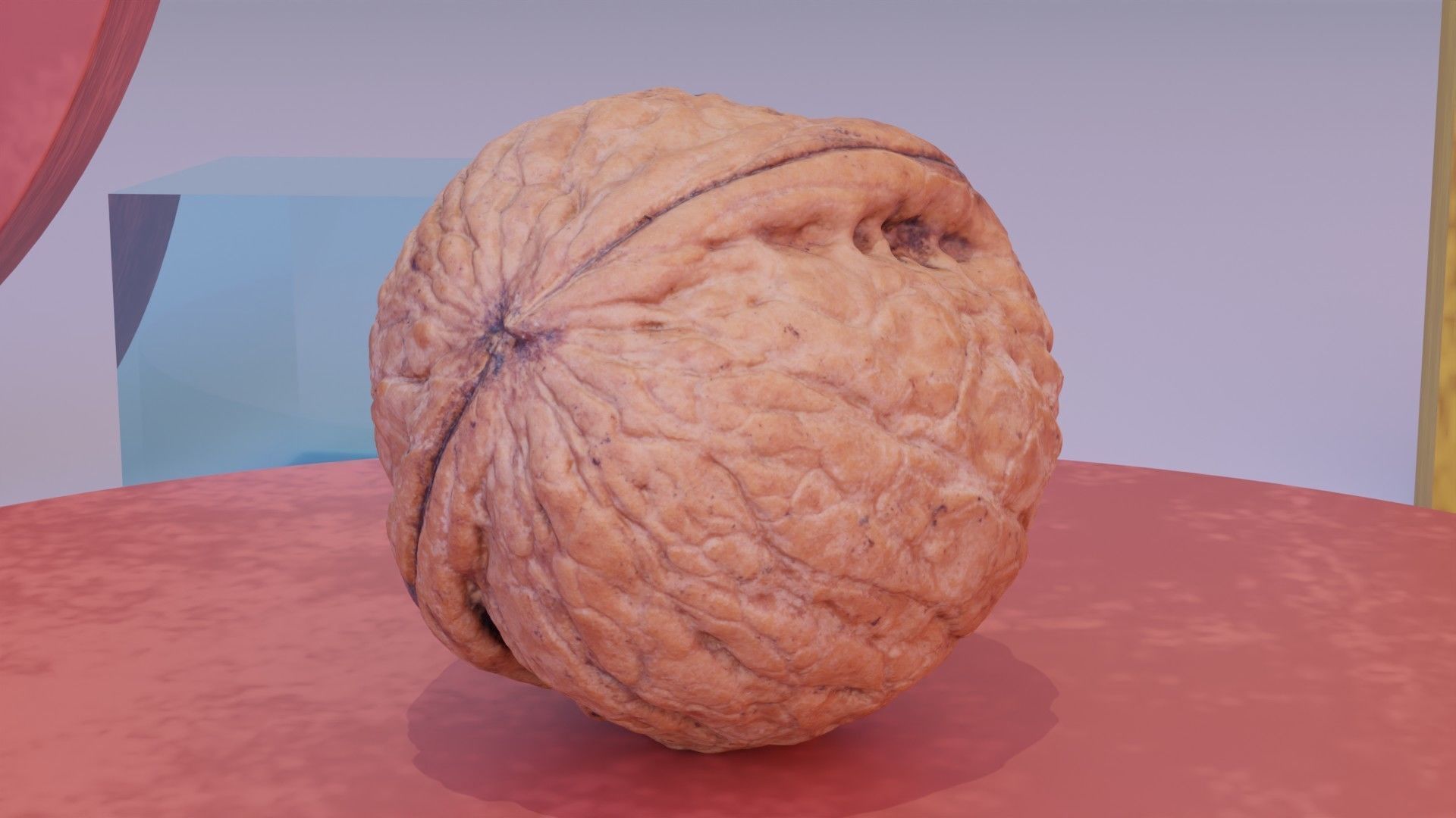 Walnut fruit 07 high-poly 3D model_7