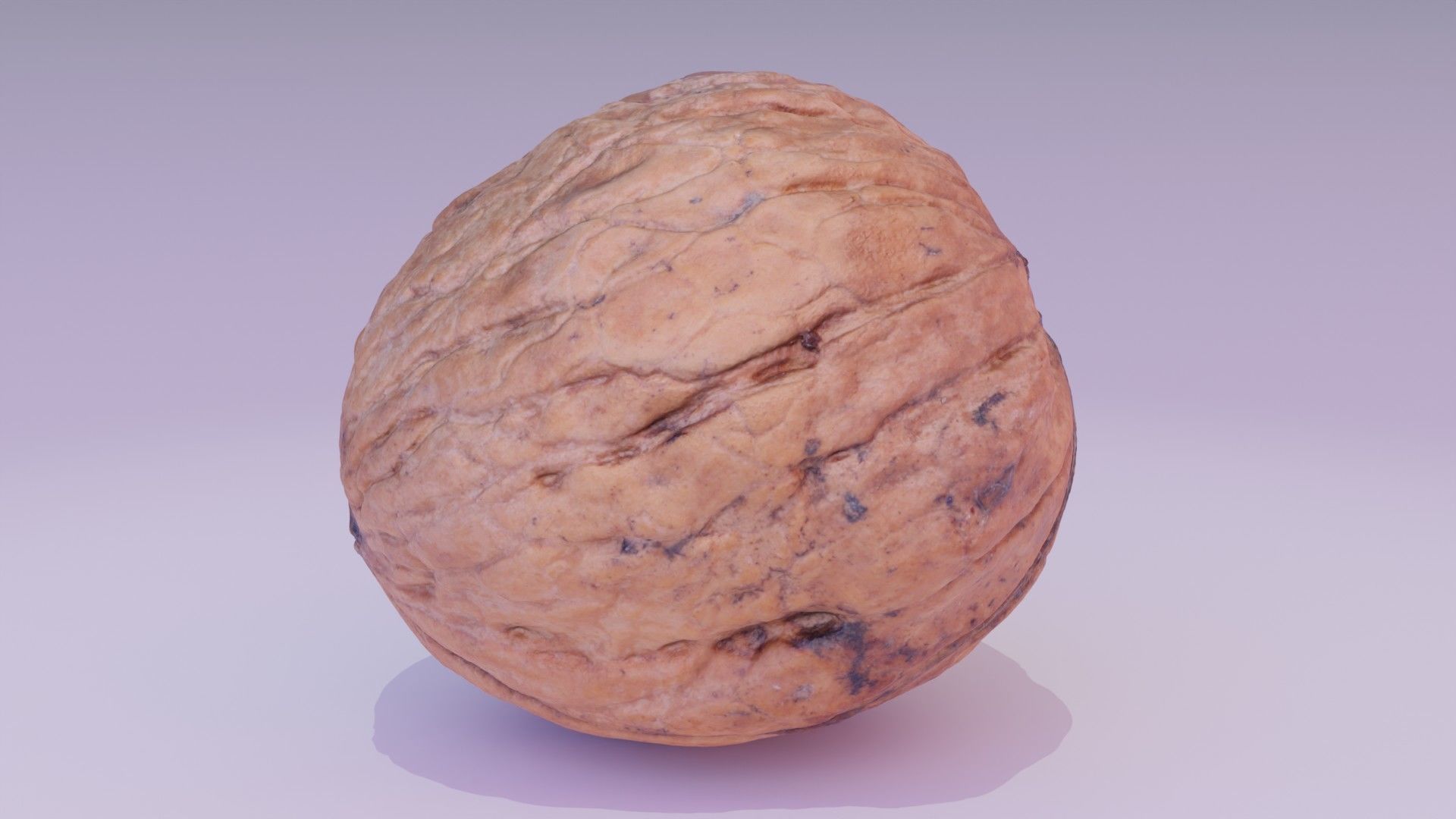 Walnut fruit 07 high-poly 3D model_16