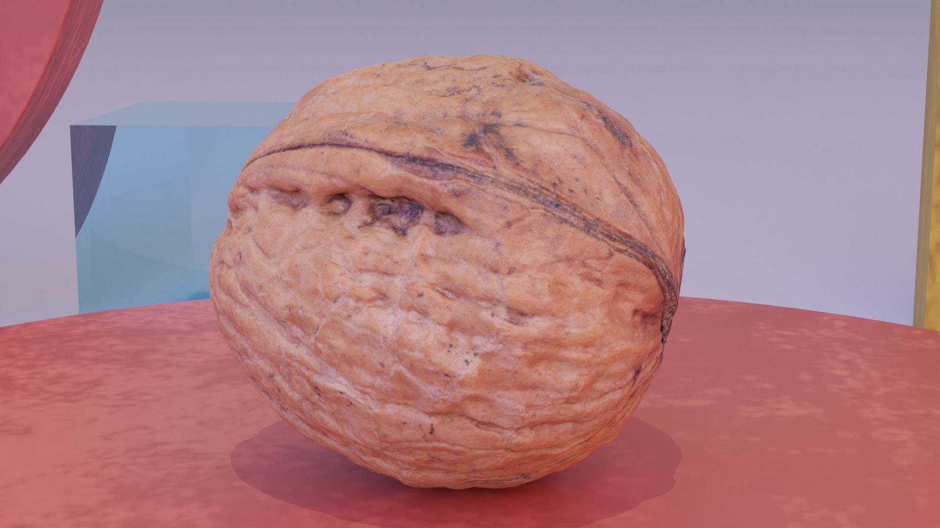 Walnut fruit 07 high-poly 3D model_5