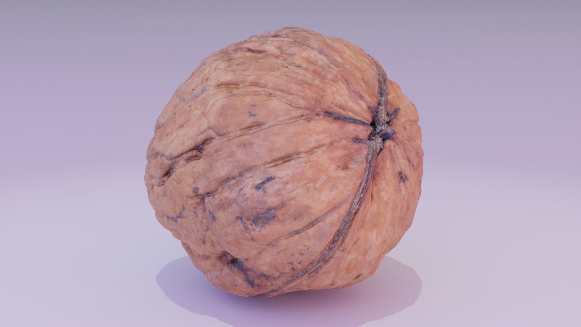 Walnut fruit 07 high-poly 3D model_17