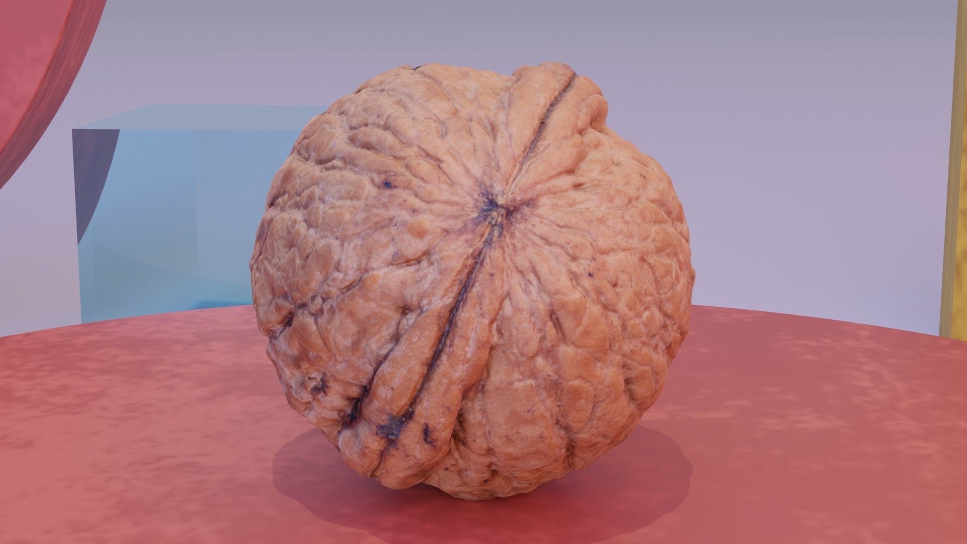 Walnut fruit 07 high-poly 3D model_8