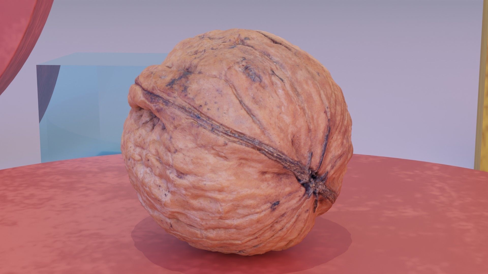 Walnut fruit 07 high-poly 3D model_4