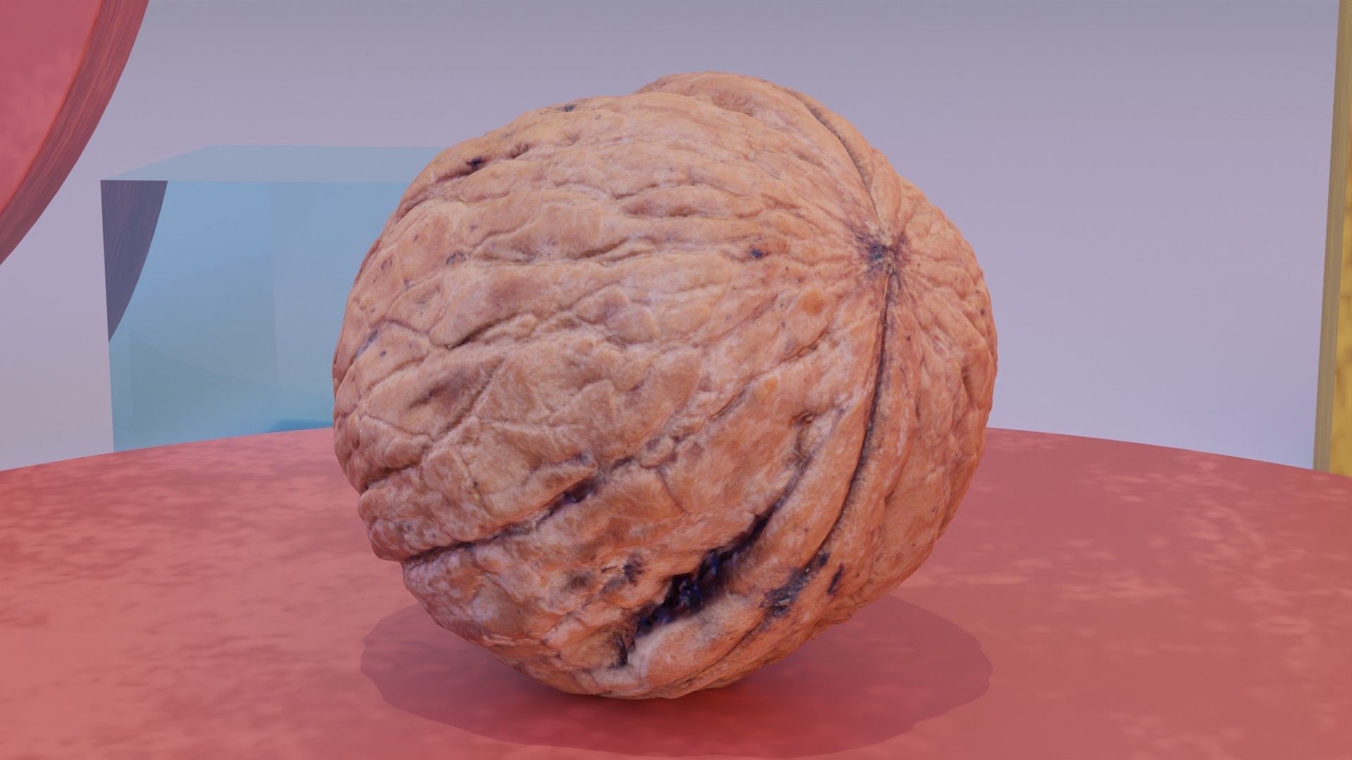 Walnut fruit 07 high-poly 3D model_9