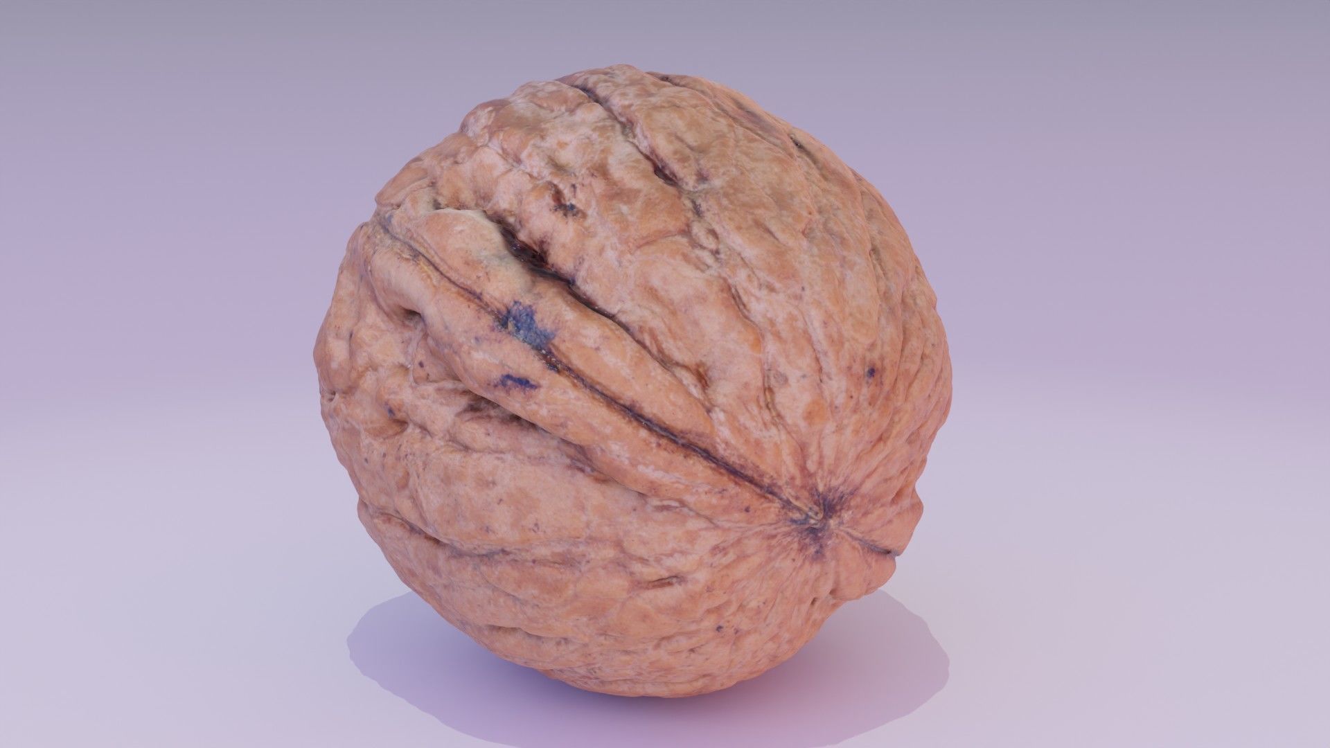 Walnut fruit 07 high-poly 3D model_14