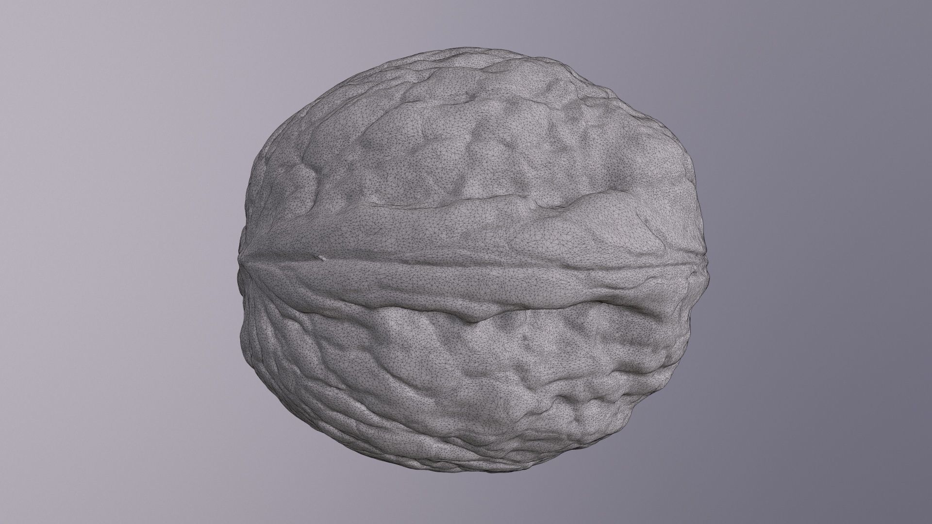 Walnut fruit 07 high-poly 3D model_24