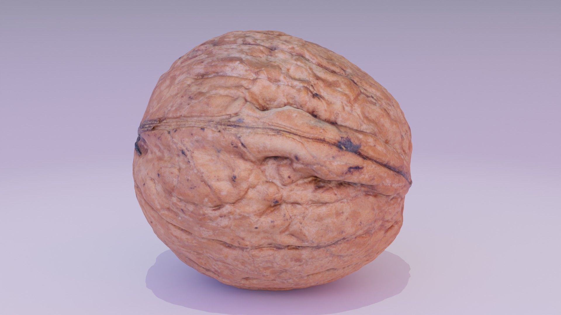Walnut fruit 07 high-poly 3D model_13