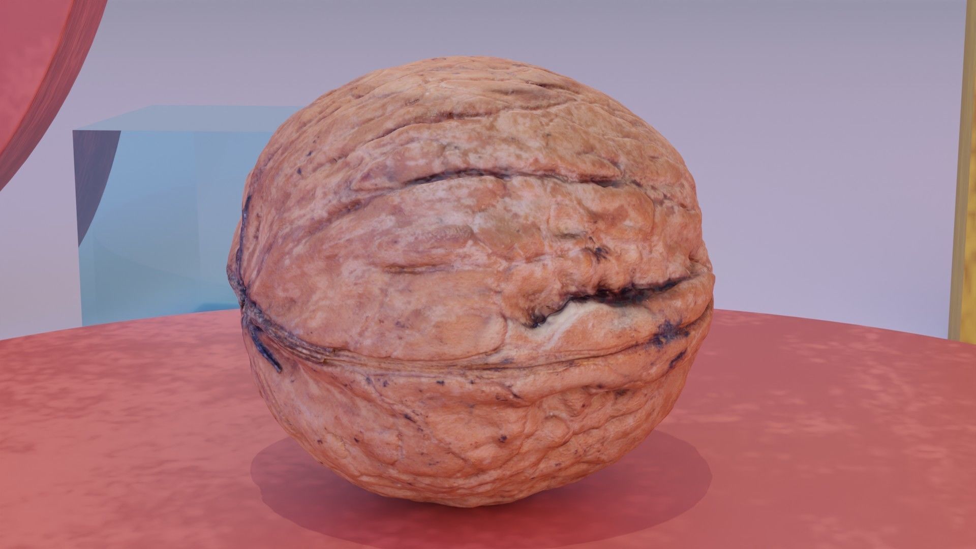 Walnut fruit 07 high-poly 3D model_1