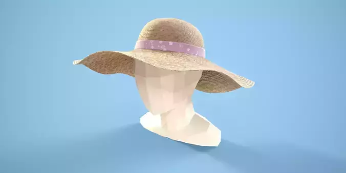Summer Sun Hat