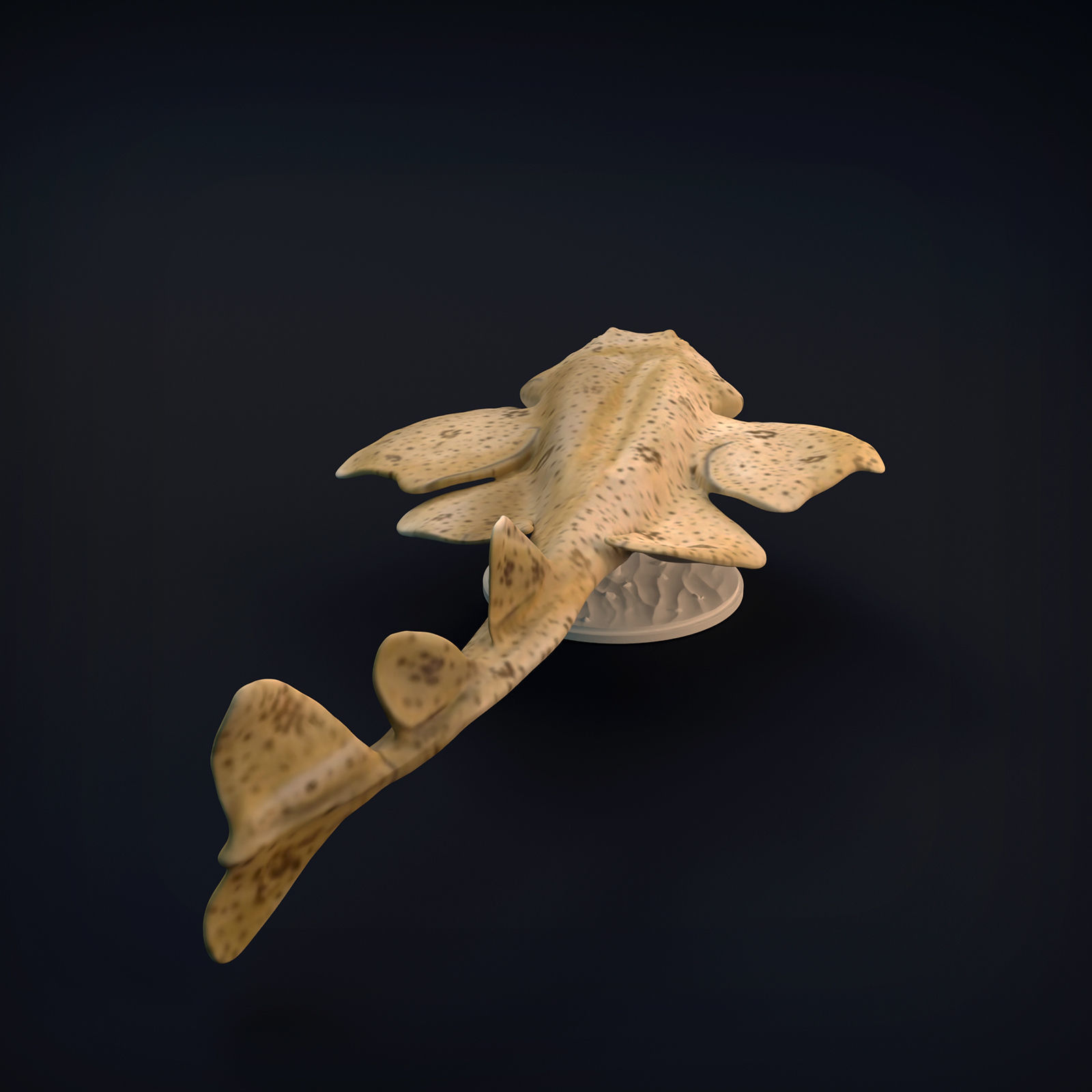 Angel Shark for 3D Printing 3D print model_1