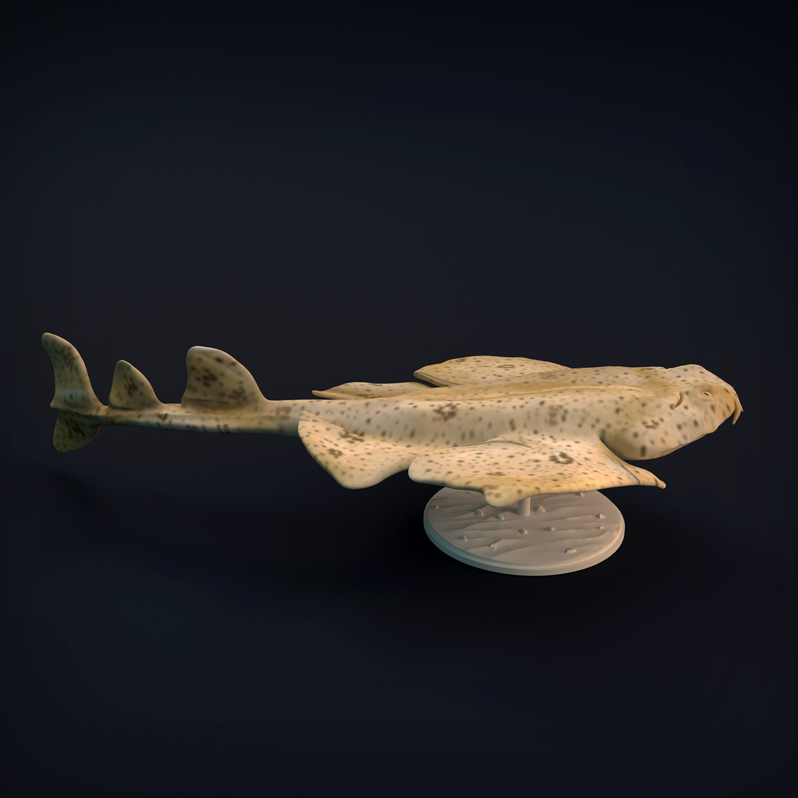 Angel Shark for 3D Printing 3D print model_6