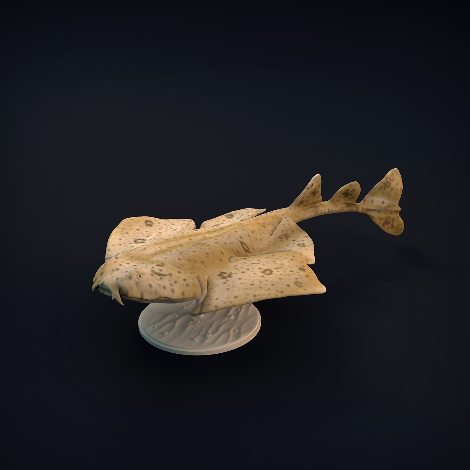 Angel Shark for 3D Printing 3D print model_2