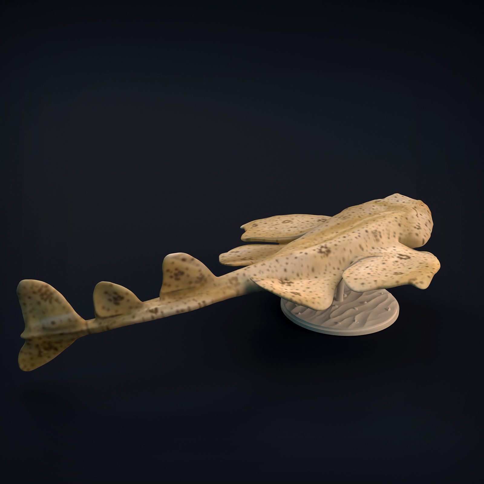 Angel Shark for 3D Printing 3D print model_7