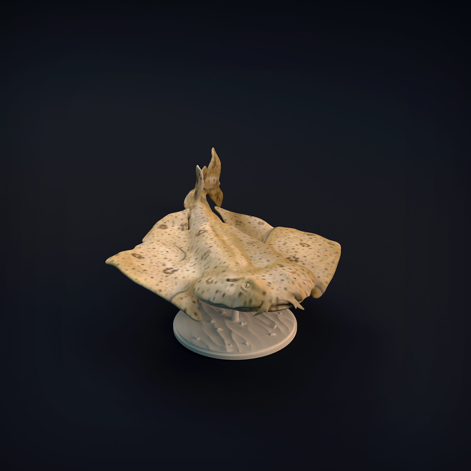 Angel Shark for 3D Printing 3D print model_4