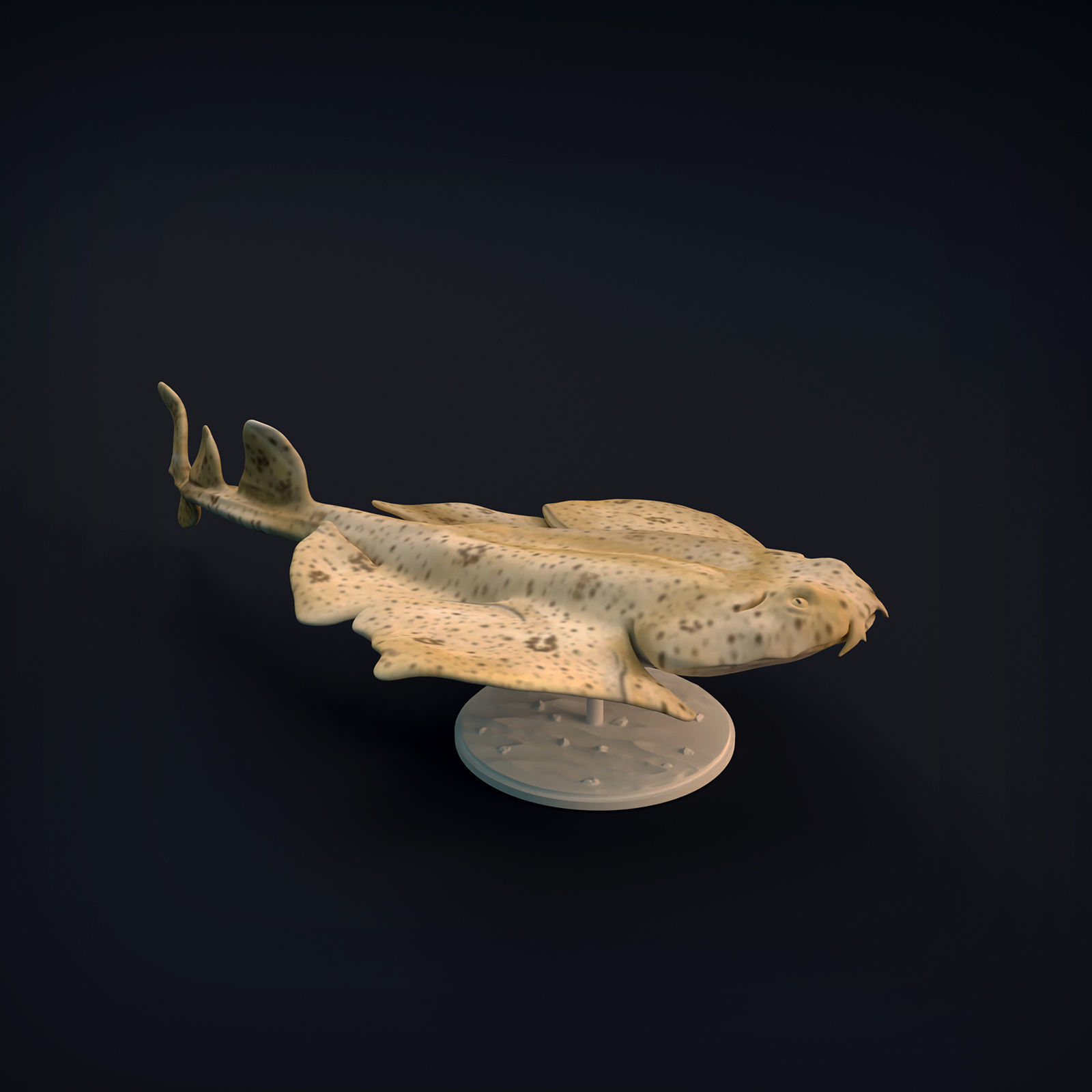 Angel Shark for 3D Printing 3D print model_5