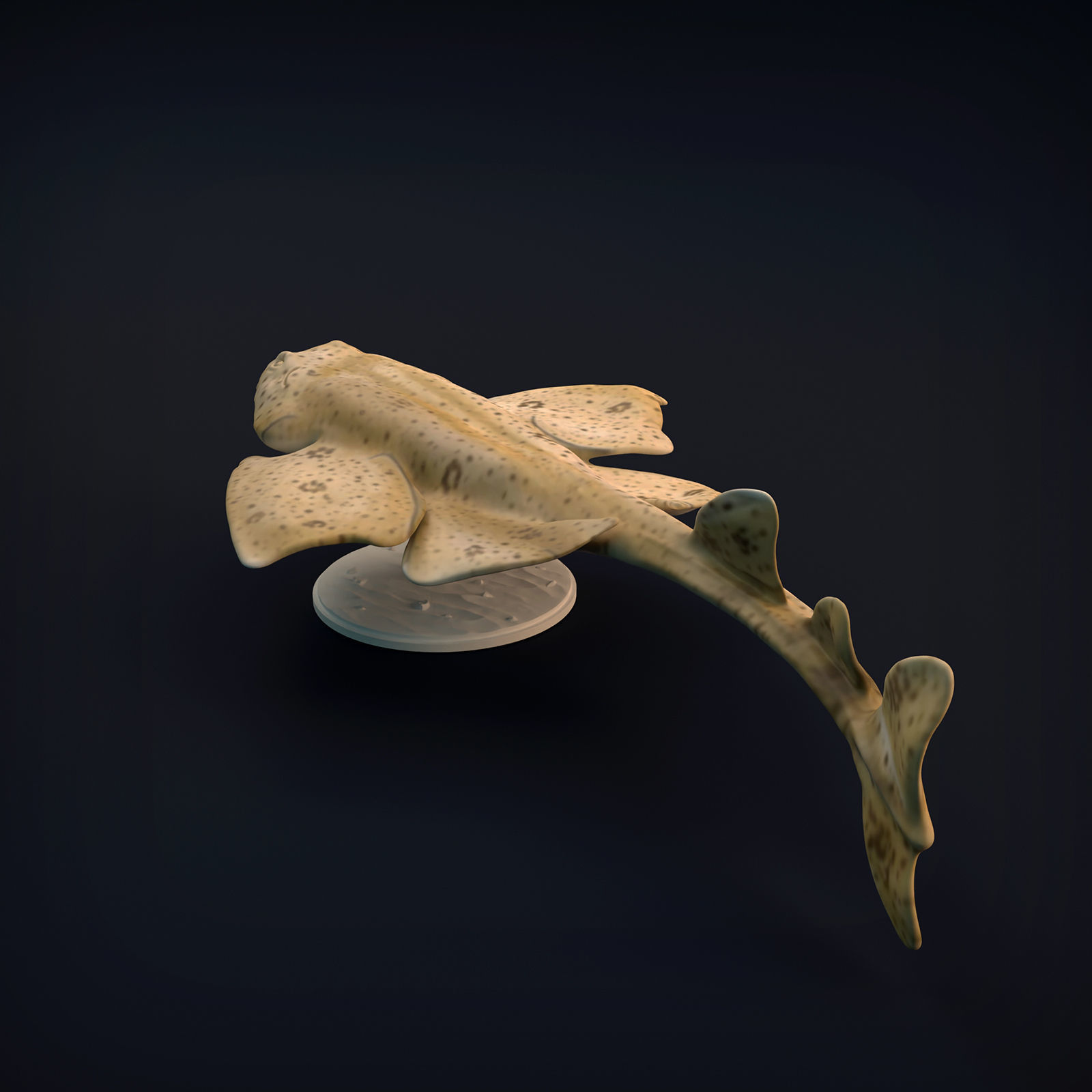 Angel Shark for 3D Printing 3D print model_8