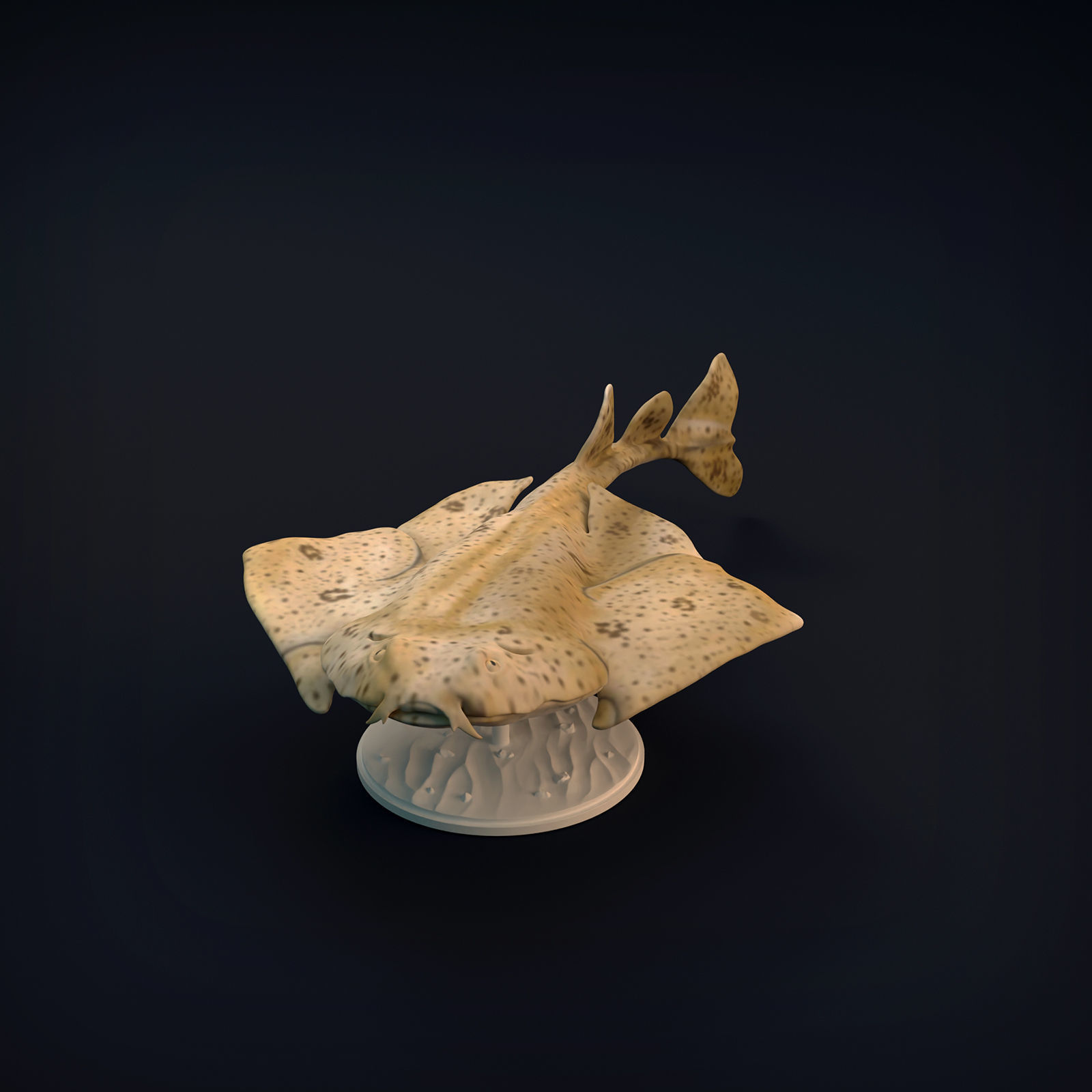 Angel Shark for 3D Printing 3D print model_3