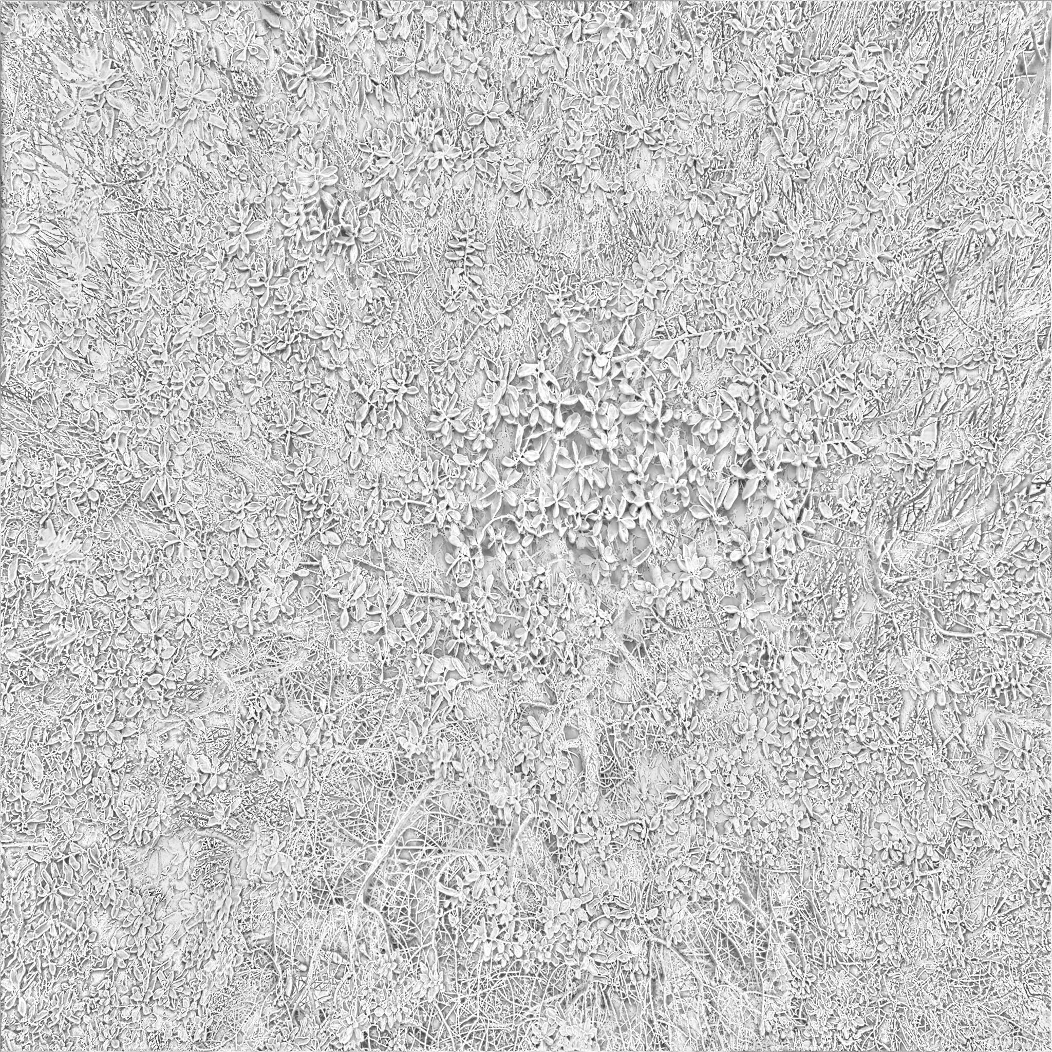 Photo Realistic Bush 3D Texture 3D model_1