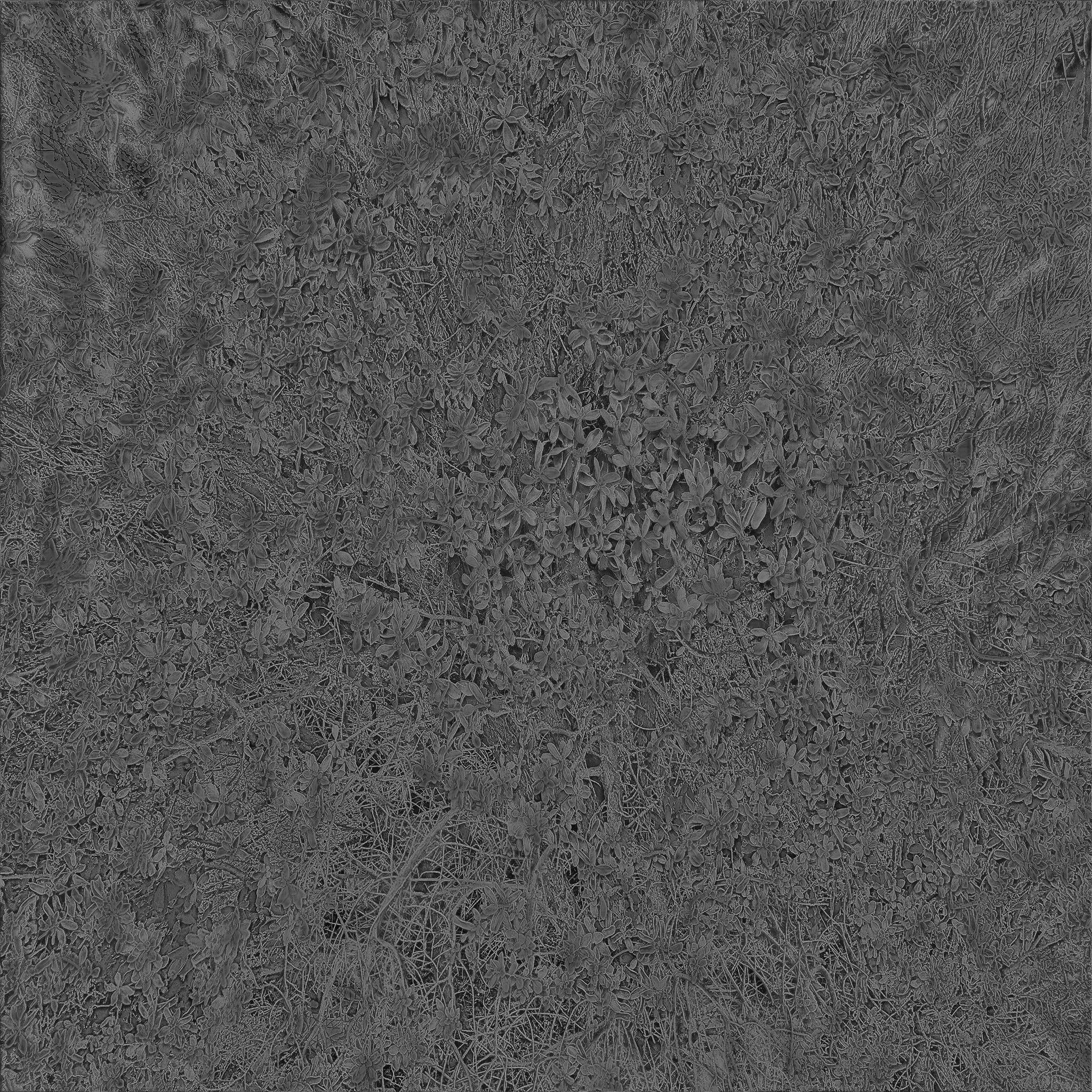 Photo Realistic Bush 3D Texture 3D model_2