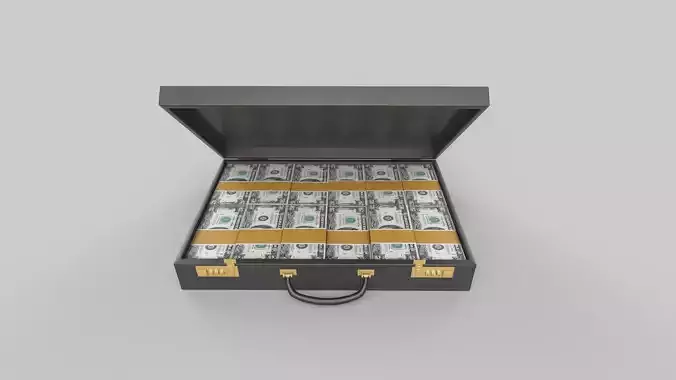 briefcase money in Low-poly 3D model
