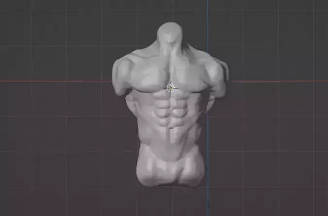 Male Torso